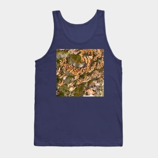 Bracket fungus Tank Top